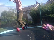 3rd Aug 2012 - Bouncing