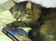 4th Aug 2012 - Apparently Auggie falls asleep while he reads just like his mama does!