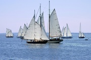 4th Aug 2012 - Parade of Sails