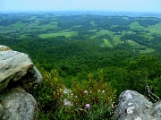 4th Aug 2012 - Fire Tower Overlook