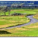 Felixstowe Ferry Golf Course by judithdeacon
