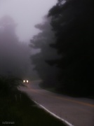 6th Aug 2012 - Fog lights...