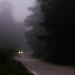 Fog lights... by marlboromaam