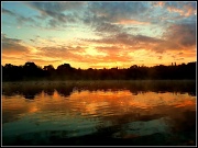 5th Aug 2012 - Swan Lake