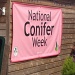 National Conifer Week by manek43509
