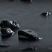 Stones Along The Shore by skipt07
