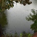One of the ponds at Charles Towne Landing during a light rain by congaree