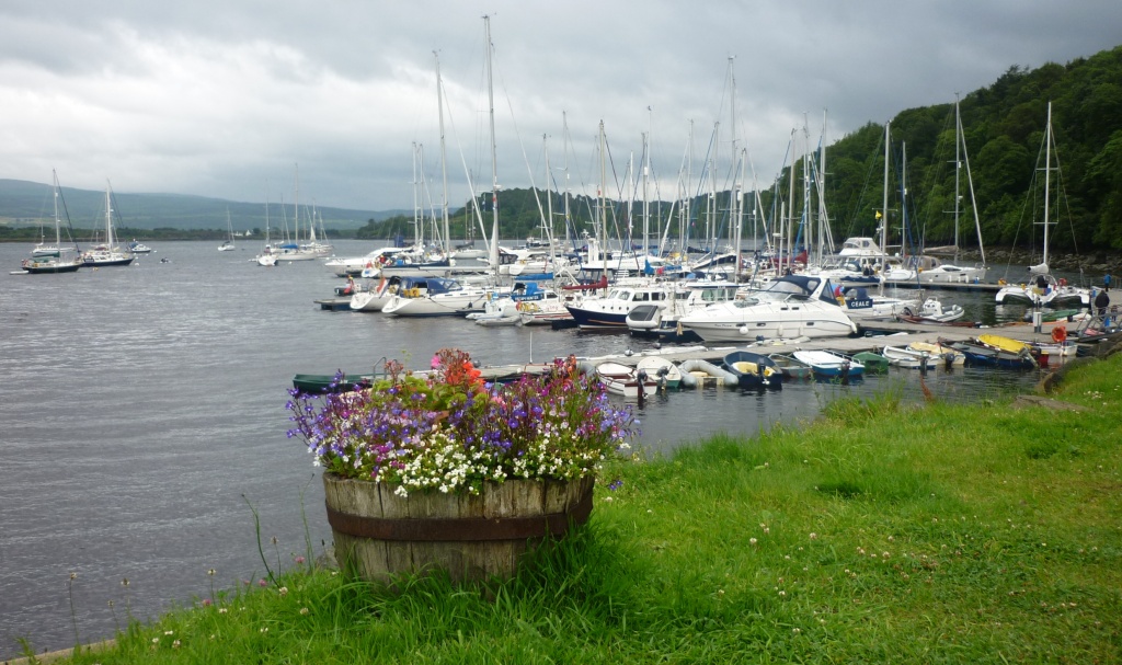 west highland yachting week by sarah19