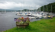 2nd Aug 2012 - west highland yachting week