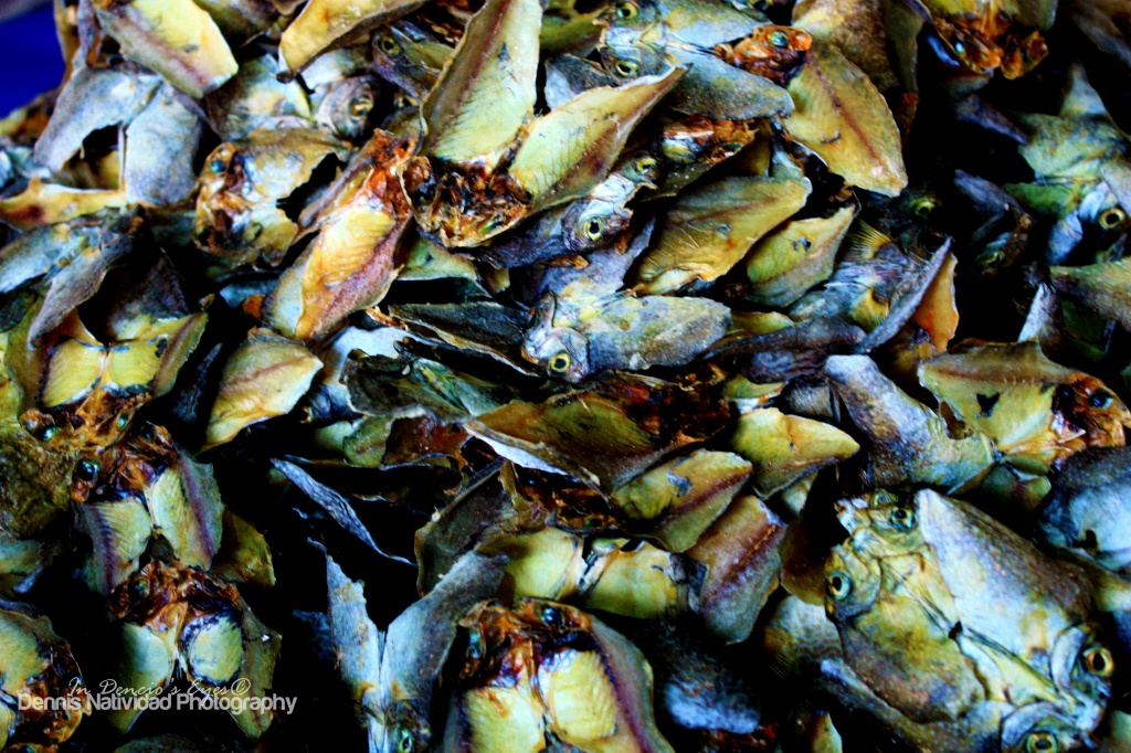 Dried Fish by iamdencio