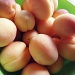 sweet and fragrant apricots by inspirare