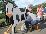 6th Aug 2012 - Bored cow.