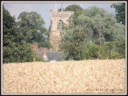 6th Aug 2012 - Across the fields