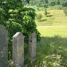 Biaillid graveyard by jmj