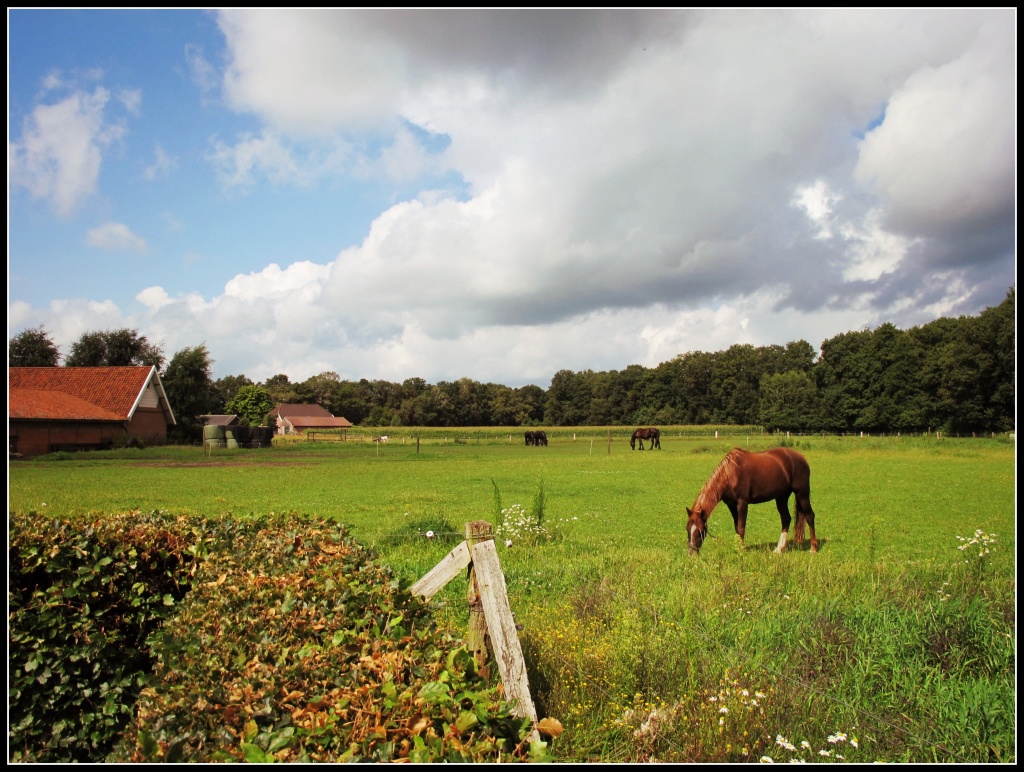 Countryside by halkia