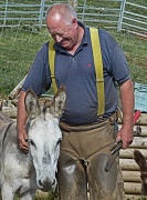 6th Aug 2012 - the 'F' word ........... F for farrier that is