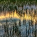 Abstract Nature by exposure4u
