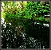 7th Aug 2012 - Local Canal