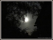 7th Aug 2012 - Give me the Moonlight 