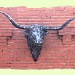 Bull head by judyc57