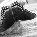 Butterfly in black and white... by marlboromaam