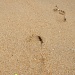 Footprints by kerristephens