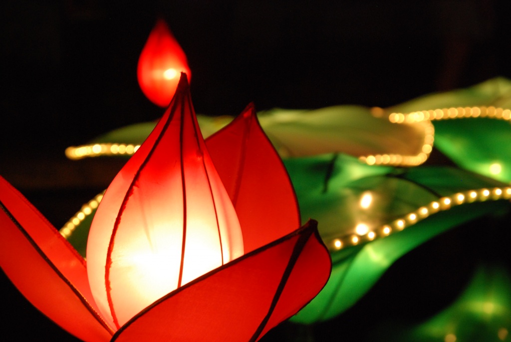 Lantern Festival by graceratliff