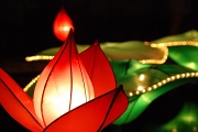 9th Aug 2012 - Lantern Festival