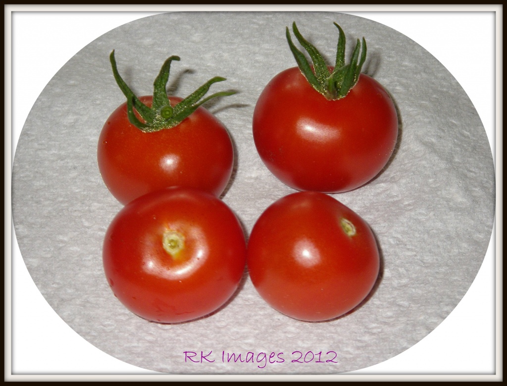 The first tomatoes by rosiekind