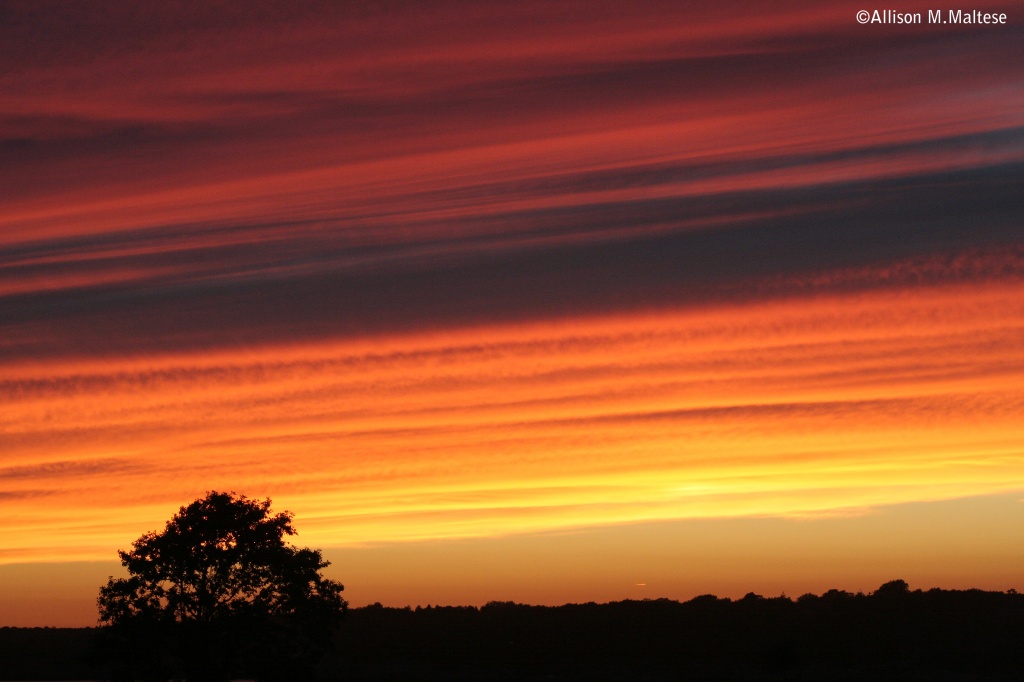 Sunset, Newport, RI by falcon11