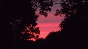 6th Aug 2012 - Another Sunset From My Driveway