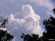 9th Aug 2012 - Cloud hug...