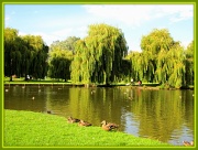 7th Aug 2012 - Riverside park St Neots