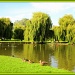 Riverside park St Neots by busylady