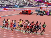 8th Aug 2012 - 5000 metres
