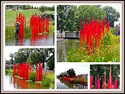 10th Aug 2012 - Red Reeds