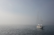 30th Jul 2012 - foggy morning
