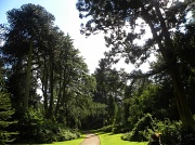 10th Aug 2012 - Biddulph Grange Garden