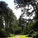 Biddulph Grange Garden by oldjosh