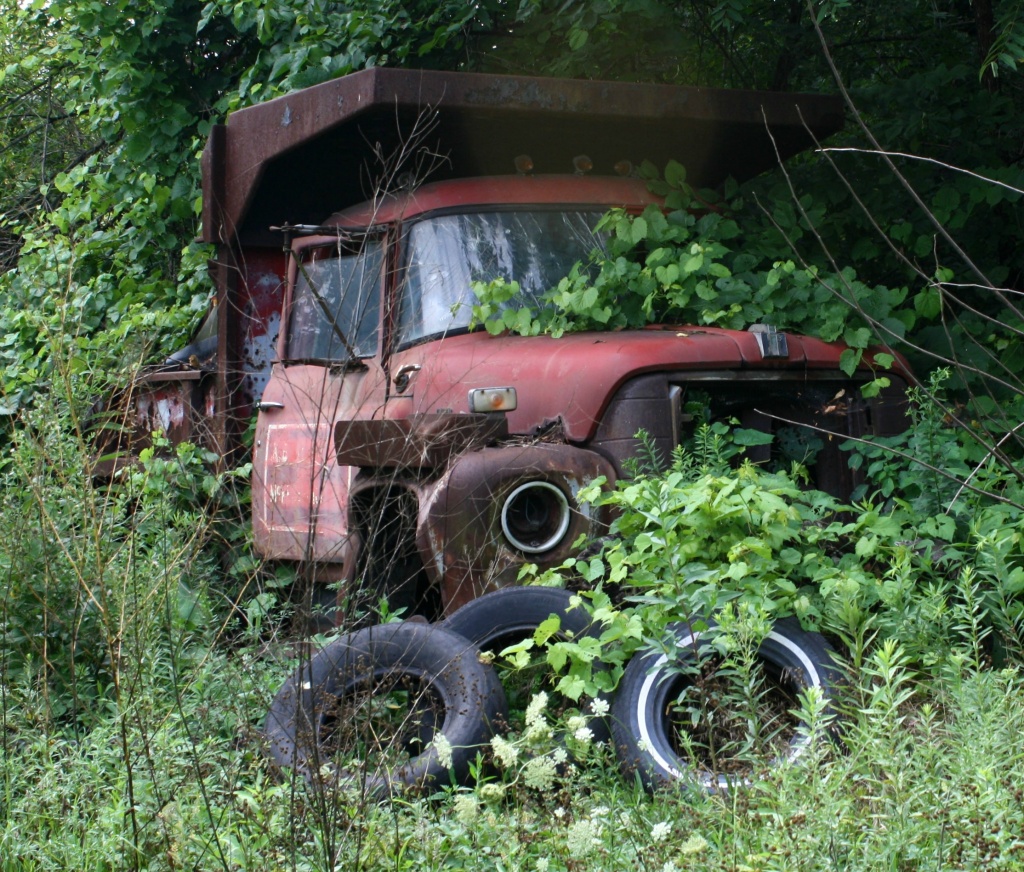 Truck being consumed by nature by mittens
