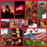 11th Aug 2012 - red