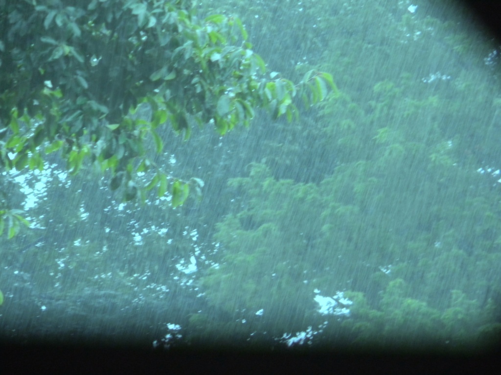 Rainy Afternoon 8.10.12 by sfeldphotos