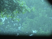 10th Aug 2012 - Rainy Afternoon 8.10.12