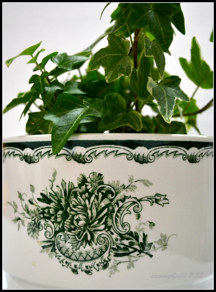 ivy on swedish porcelain bowl by summerfield