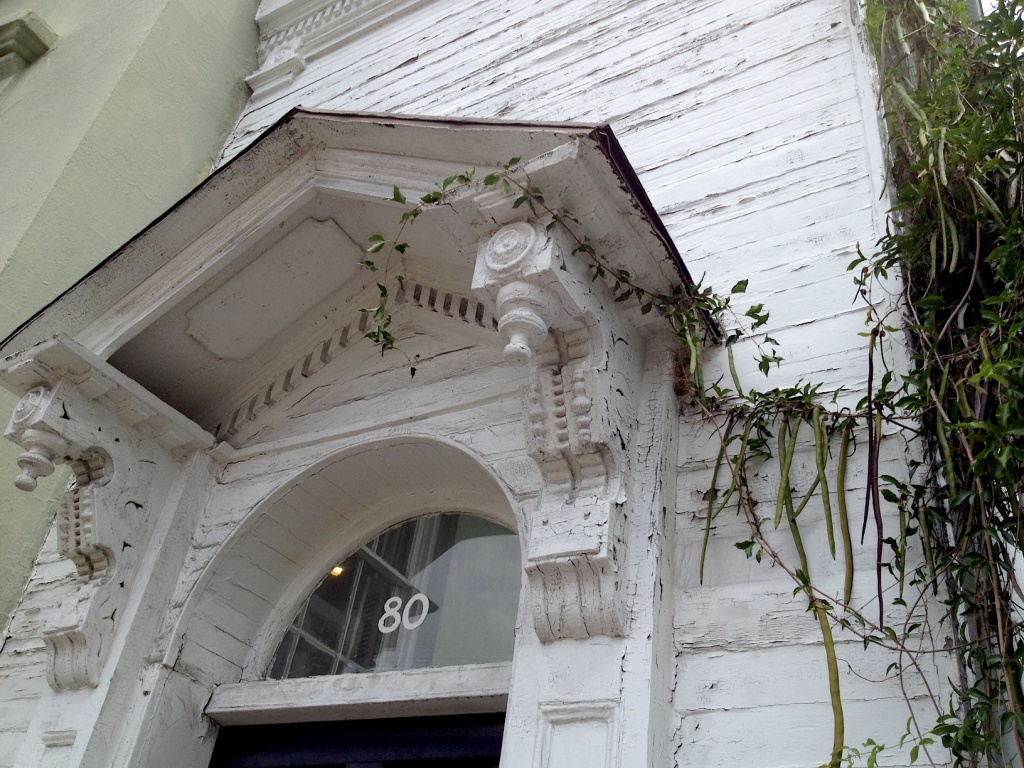 Old Charleston cornice and vines by congaree