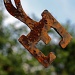 done before on my 365 - Rusty weather vane by phil_howcroft