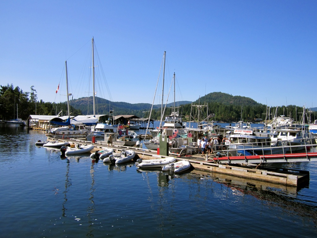 Pender Harbour docks by pamelaf