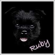 12th Aug 2012 - Ruby