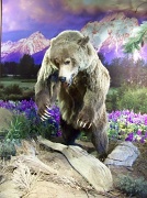 6th Aug 2012 - Another bear photo