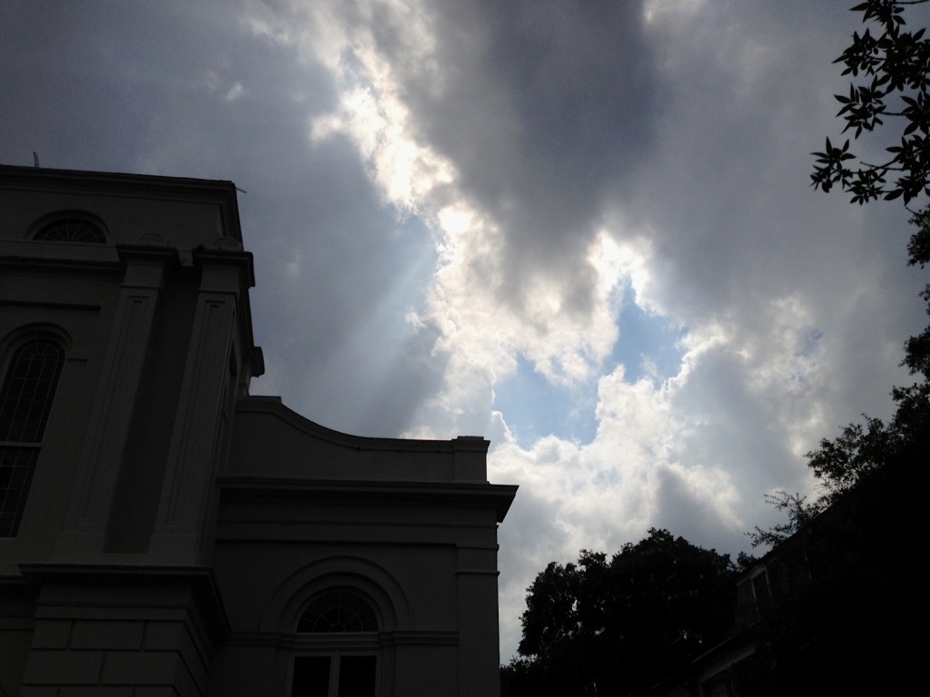 Sunrays along Glebe Street on the campus of the College of Charleston, 8/12/12 by congaree